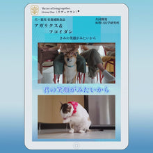 ギャラリービューア犬猫用サプリメント　アガリクス＆フコイダン　Livena One（リヴェナワン）に読み込んでビデオを見る
